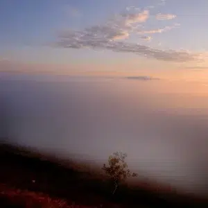 اصالت بیشتر