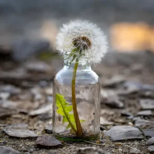 قدرت تاب‌آوری